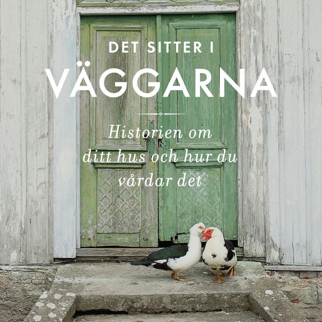 Hovedbilde Det sitter i veggene med Erika Åberg 